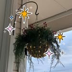 Leslie McMaster - @uberv53 - Instagram