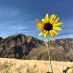 Leslie McMichael - @taisie_explores - Instagram