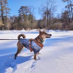 Meredith Leslie Jago McNutt - @mljmcnutt - Instagram