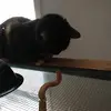 Leslie Medrano - @leslie.medrano4 - TikTok