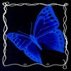 Leslie Messick - @leslie_messick_official - TikTok