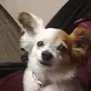 Leslie Parr-Messina - @leslie.parrmessin - TikTok
