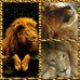 Leslie Midkiff - Facebook