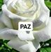 Lucilia Monteiro - Facebook