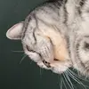 lesliemoritz - @lesliemoritz - TikTok