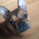 Leslie Mortimer - @ldmortimer - Instagram