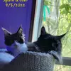 lesliemount262 - @lesliemount262 - TikTok