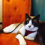 Leslie Mueller - @adventureboogie - Instagram