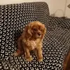 leslie munch - @morganette4 - TikTok
