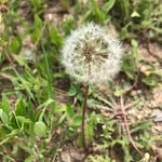 Leslie Napier - @napierleslie - Instagram