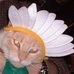 Leslie Newcomer - Facebook