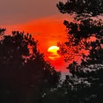 Leslie Perry Padgett - @momto5ks - Instagram