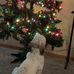 Leslie Parent - Facebook
