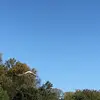 leslieparsons121 - @leslieparsons121 - TikTok
