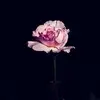 Aakanksha_R._Sinha - @leslie_patrick513 - TikTok