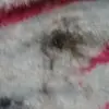 les - @leslie.patrick1 - TikTok