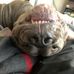 Leslie Paulsen - Facebook