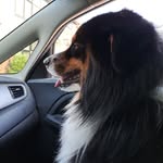 Leslie Percy - @lpercy1969 - Instagram