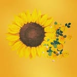 leslie - @lesliepohlman - Instagram