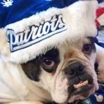 Leslie Pollard - @leslie.pollard.589 - Instagram