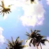 Leslie Prado - @mexicolover - TikTok