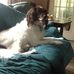 Leslie Putnam - Facebook