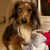 Leslie Putnam - @hunnypu1 - TikTok
