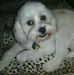 Leslie Rauch - Facebook