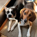 Leslie Sherk Rauchut - @leslie_rauchut - Instagram