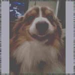 Leslie Record - @sebastienklempgcg - Instagram