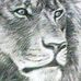 Leslie Renshaw - Facebook
