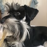 Leslie Riggins - @lessismorrwy - Instagram