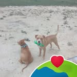 Leslie Riggins - @leslieriggins1958 - Instagram