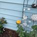 Leslie Anderson - Facebook