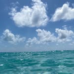 Leslie Robison - @leslie_robison7 - Instagram