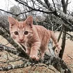 Leslie Robison - @leslie55ann - Instagram