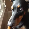 ruble.leslie - @ruble.leslie - TikTok