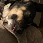 Leslie rutherford - @doodlebug5454 - Instagram