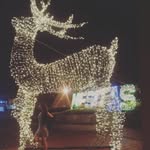Leslie Sabogal - @lesliesabogal - Instagram