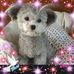 Leslie Scholes - Facebook
