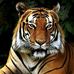 Leslie Showalter - Facebook