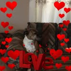 Leslie Sorrells - Facebook