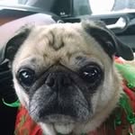 leslie sprinkle vance - @vancelesliesprinkle - Instagram