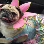 Leslie Sprinkle Vance - @bettysprinklevance2000 - Instagram
