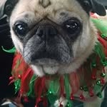 lesliesprinklevance - @lesliesprinkle61 - Instagram