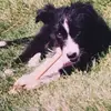 lesliesquiresroja - @lesliesquiresroja - TikTok