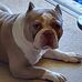 Leslie Staggs - Facebook