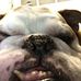 Lesliemarie Starling - Facebook