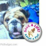 Leslie Stromberg Pallas - @lesliestromberg - Instagram