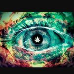 leslie styles - @pass_that_shit_dawg - Instagram